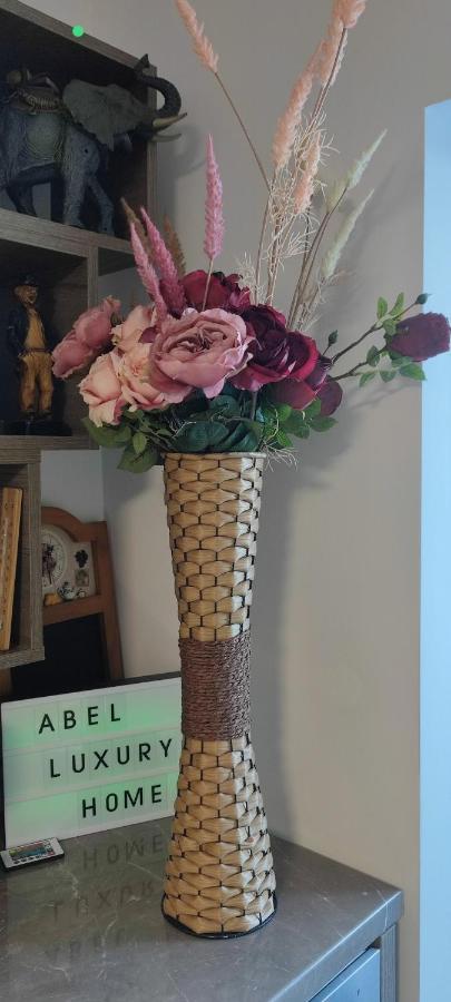 Abel Luxury Home คอนสตันซา ภายนอก รูปภาพ